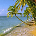 Vivere alle Canarie